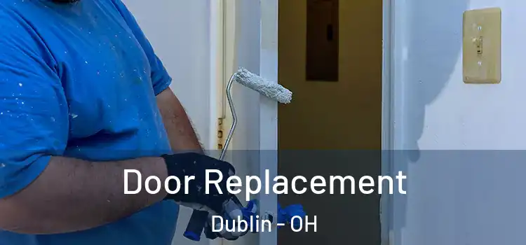  Door Replacement Dublin - OH