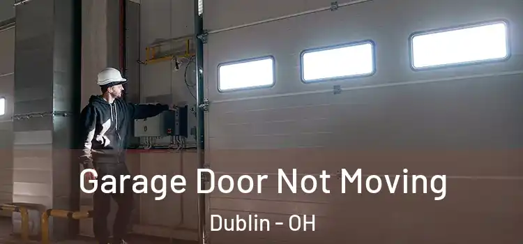  Garage Door Not Moving Dublin - OH