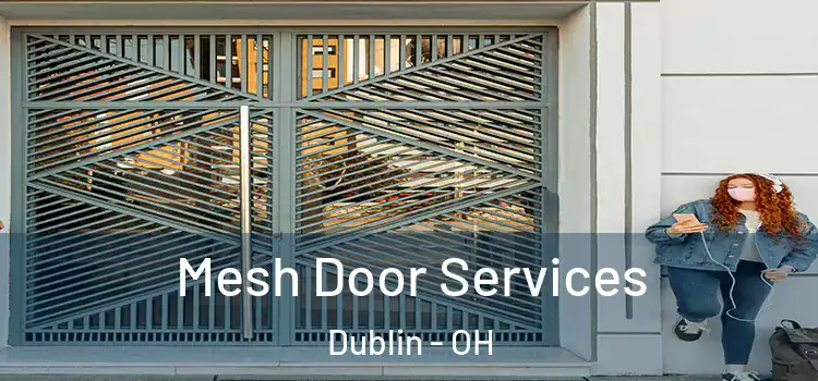 Mesh Door Services Dublin - OH